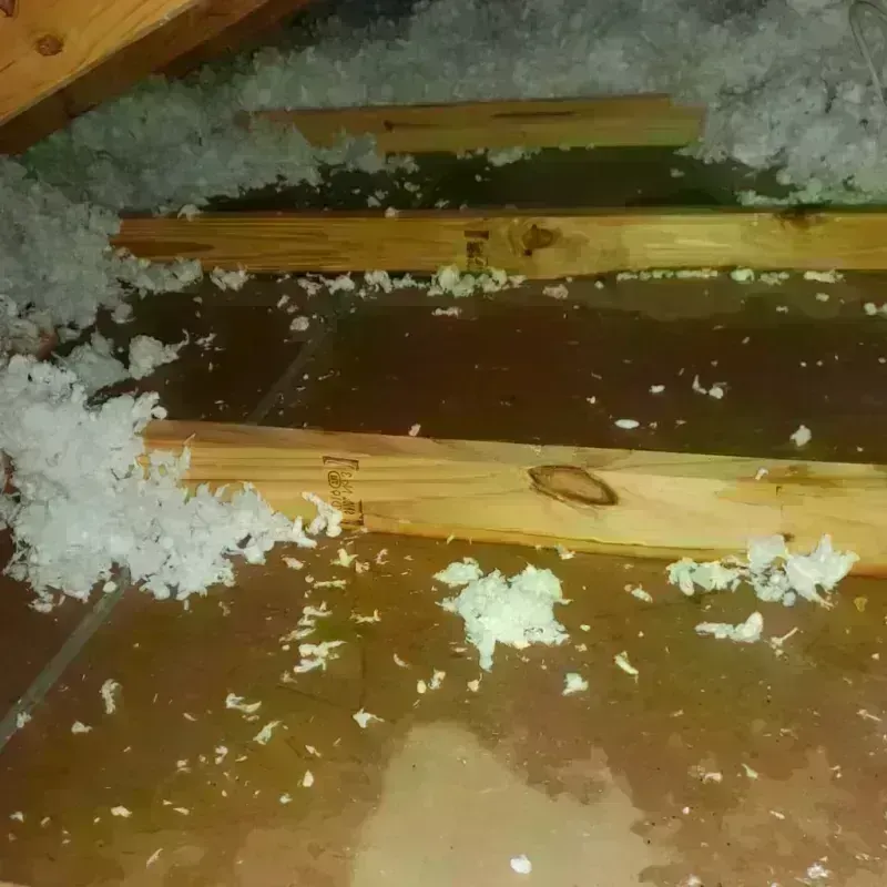 Attic Water Damage in Rolla, ND