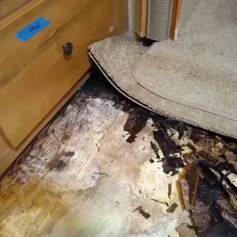 Wood Floor Water Damage in Rolla, ND